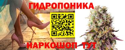 ALPHA PVP Гатчина