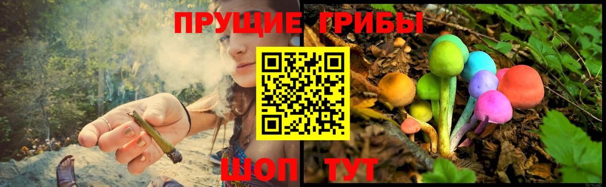 Галлюциногенные грибы мухоморы Отрадное