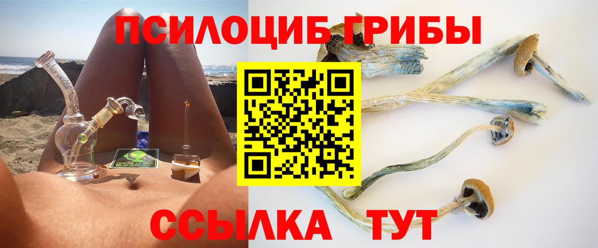 Галлюциногенные грибы Psilocybe  Отрадное  закладка  Псилоцибиновые грибы GOLDEN TEACHER 
