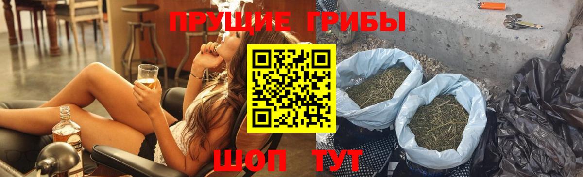 Отрадное  Галлюциногенные грибы MAGIC MUSHROOMS  Вход с VPN 